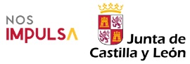 Junta de Castilla y León